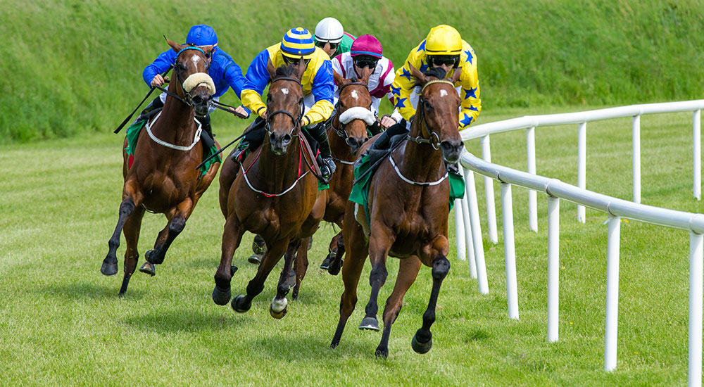 Fyfield Travel Horse Racing